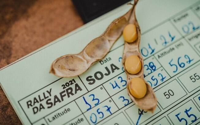 Rally da Safra inicia nova edição no Brasil