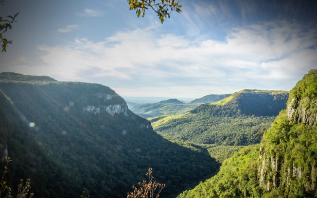 Preservação ambiental não prejudica economia nem desenvolvimento social