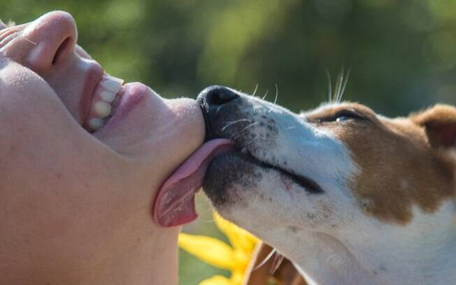 A lambida do cachorro tem o mesmo significado de um beijo 