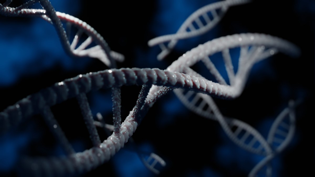 Teste de DNA vincula ex-soldado nazista a 15 filhos na Europa