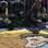 Fiéis confeccionam os tradicionais tapetes de serragem e palha como parte das comemorações de Corpus Christi, na Esplanada dos Ministérios . Foto: MARCELO CAMARGO/AGÊNCIA BRASIL