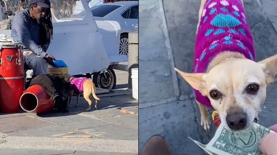 Artista de rua e sua cachorrinha formam uma bela parceria