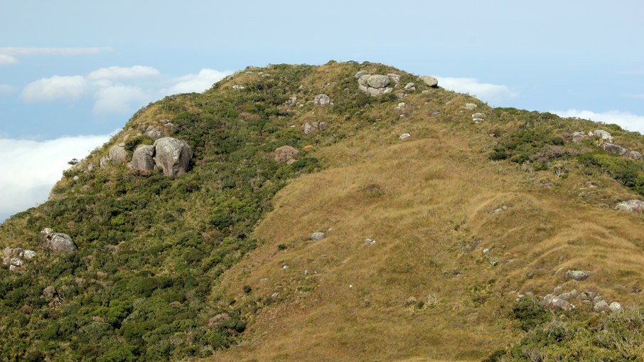 Uma área de campo ao lado de uma área com matinha nebular. As matas estão avançando sobre o campo por causas naturais