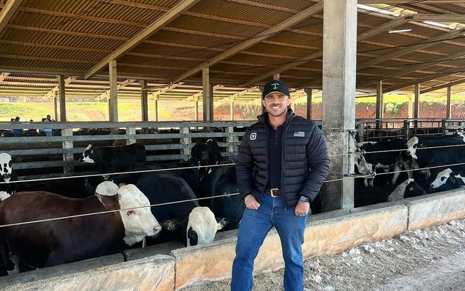Falhas no manejo de bovinos podem gerar prejuízos de milhares a pecuaristas