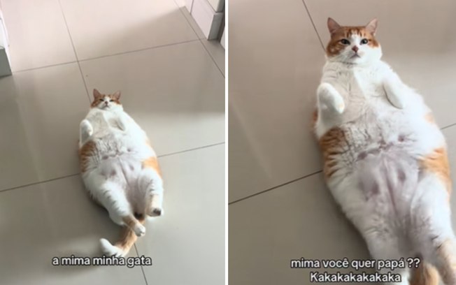 6yzt7mhy77u36gub3anr5x9bv