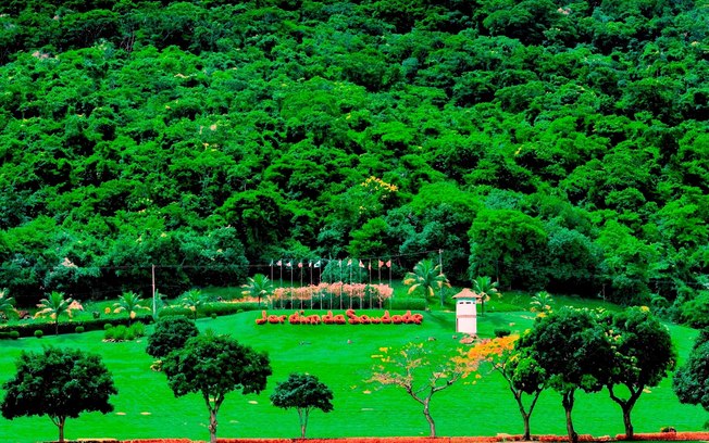 Grupo Jardim da Saudade publica seu primeiro relatório ESG