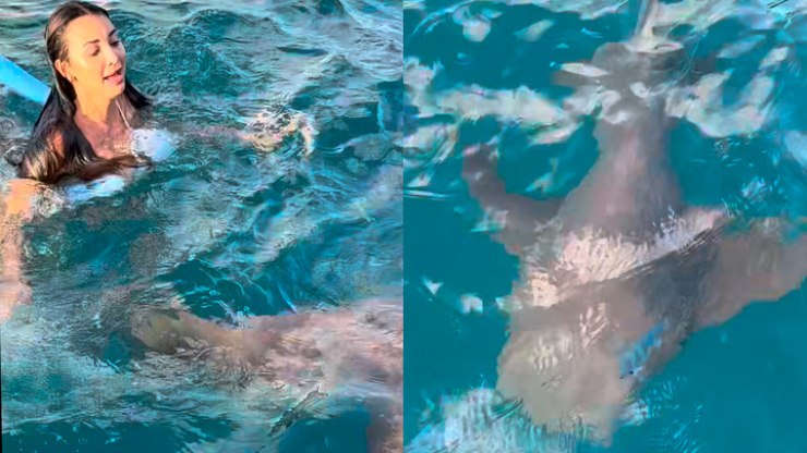 Jovem é surpreendida por tubarão em mergulho de mar