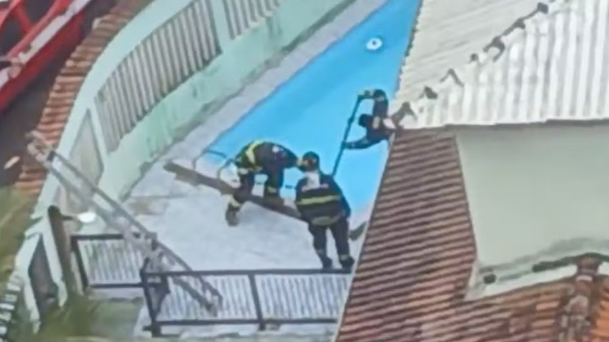 Cachorro foi resgatado de dentro de piscina por bombeiros 