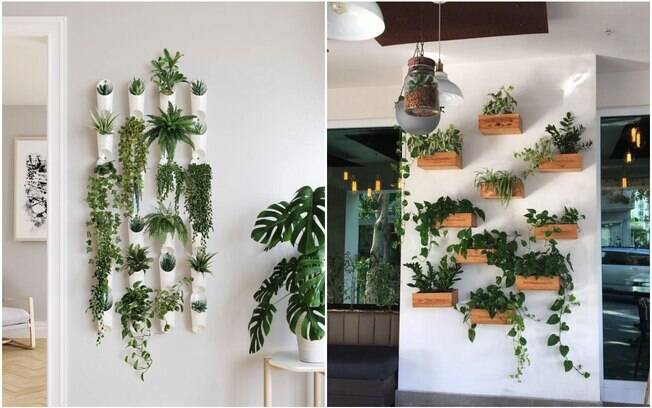 Reserve uma parede apenas para as plantas e dê um toque diferente para a decoração