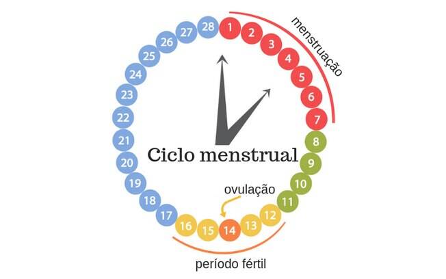 Preste atenção ao seu ciclo menstrual para entender quando há ou não a possibilidade de engravidar