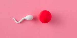 Diferenças entre reprodução assistida e fertilização in vitro