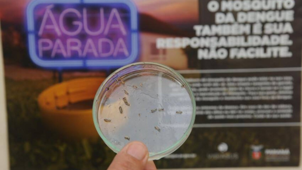 Crise: Brasil tem maior número de mortes por dengue desde 2015