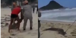 Jacaré é resgatado por bombeiros na Praia da Macumba