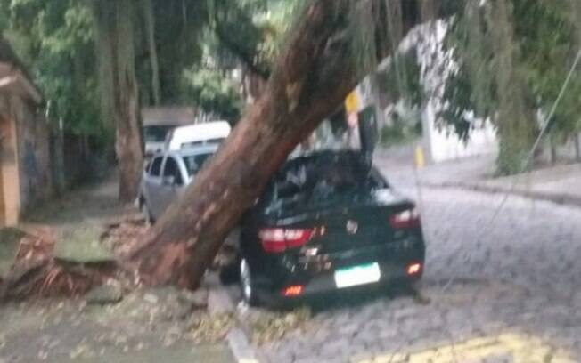 A árvore que caiu na Rua Pereira da Silva, em Laranjeiras, atingiu um carro