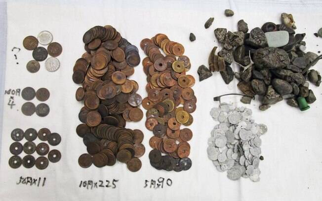 Cerca de 330 moedas foram encontradas no estômago do animal.