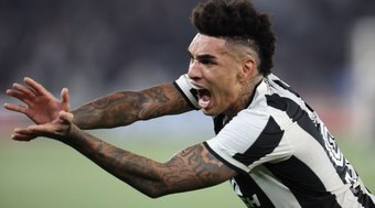 Botafogo é único time nas quartas que nunca ganhou a Libertadores