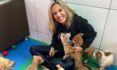 Instituto Luisa Mell realiza feira de adoção de pets resgatados no RS
