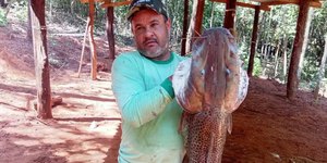 Gerente de fazenda morre após tiro durante caça a javalis