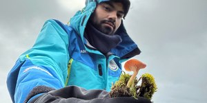 Brasileiros descobrem quatro espécies de cogumelos na Antártica