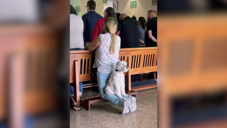Cachorro acompanha tutora em igreja e encanta fiéis Cachorro acompanha tutora em igreja e encanta fiéis