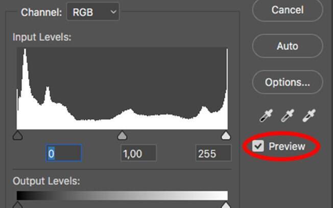 A opção preview determina se suas alterações vão ser representadas imediatamente na imagem ou se você só poderá vê-las após pressionar 