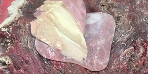 Restaurante no RS é interditado com fezes de animais em alimentos