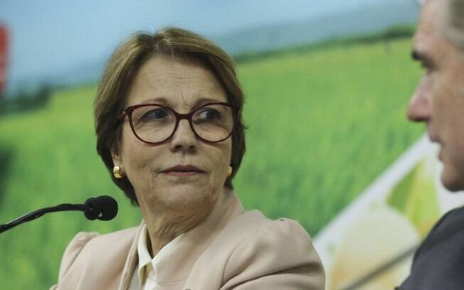 A ministra da Agriculturam Pecuária e Abastecimento,  Tereza Cristina (DEM)
