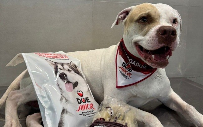 O programa Doe Amor conscientiza sobre doação de sangue para pets