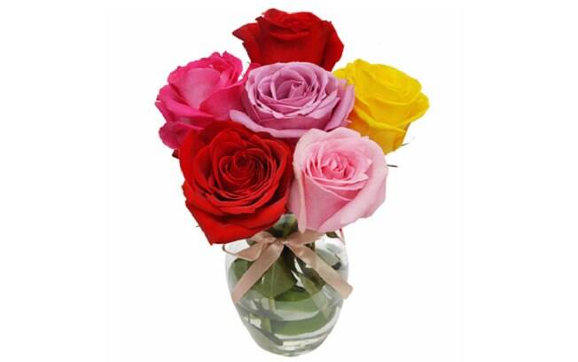 Surpresa de Rosas Coloridas Colombianas; Por: R$ 124,50 em até 3x de R$41,50