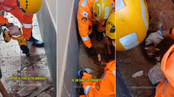 Gato é resgatado  após ficar preso em tubulação