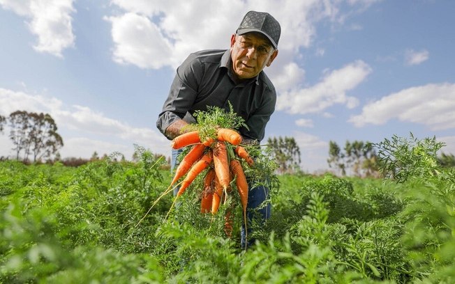 DF fará maior compra de alimentos da agricultura familiar para escolas da história