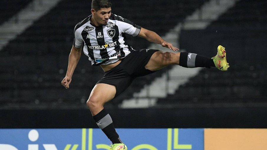 Erison é um dos destaques do Botafogo na temporada
