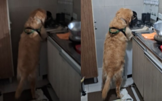 76iuv7jyibejjbxg71b9bbotz