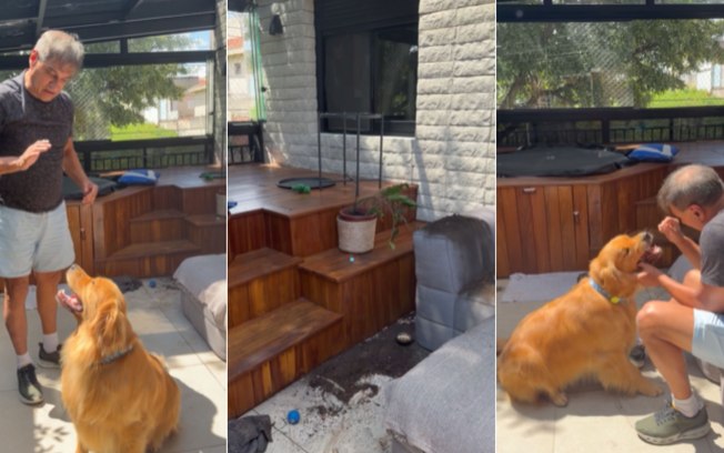 Dois minutos sozinho e Golden transforma casa em verdadeiro caos 7721e5qm2bymwskvys5aw8qh8