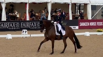 Fonte que vazou campeã olímpica agredindo cavalo celebra punição 