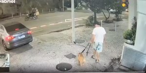 Tutor é acusado de afogar e matar cachorro no mar de Copacabana