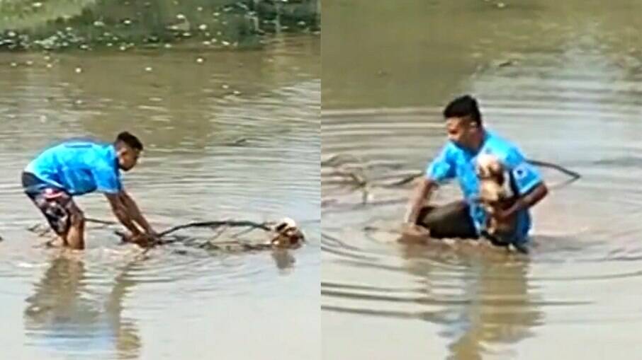 Homem entra em lago para salvar cachorra