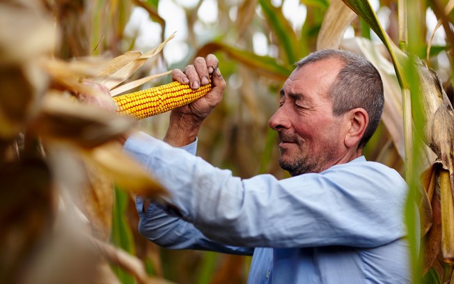 Agricultura familiar na Bahia quadruplica produtividade