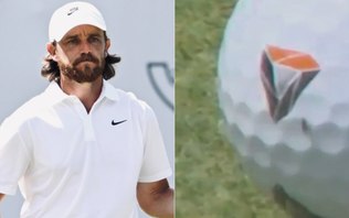 Vídeo: golfista tem ajuda de mosca para acertar o buraco