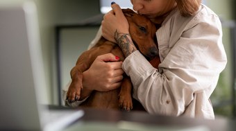 Reiki animal: especialista explica funcionamento de terapia em pets