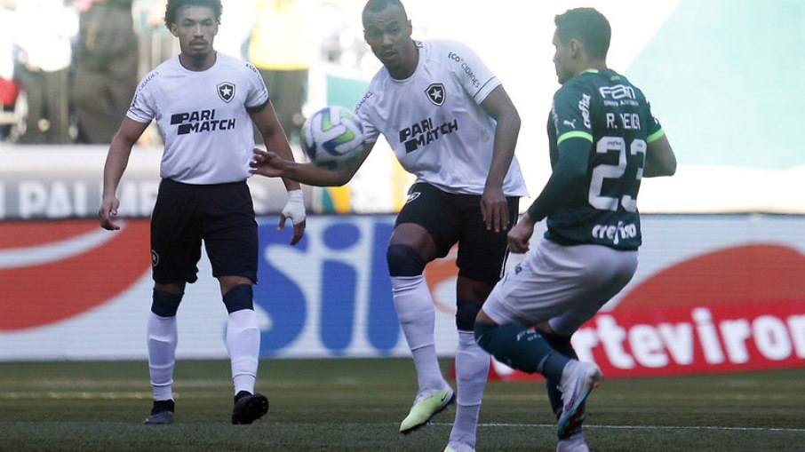 Botafogo x Palmeiras: gato 'vidente' revela quem vencerá jogo decisivo