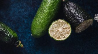 Lim%C3%A3o%20caviar%3A%20conhe%C3%A7a%20o%20fruto%20que%20vale%20at%C3%A9%20R%24%201%2C2%20mil%20o%20quilo