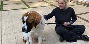 Ana Maria Braga lamenta perda de cachorro: 'Descanse em paz'