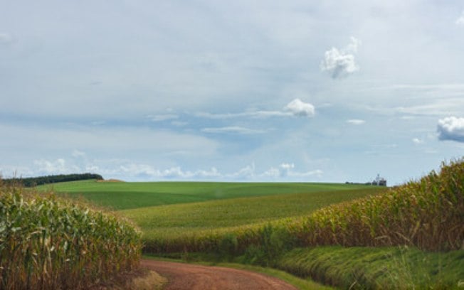 Oxitec conclui com sucesso a temporada de liberação da Spodoptera do Bem™ em fazendas de grande escala comercial em duas regiões de cultivo de milho no Brasil