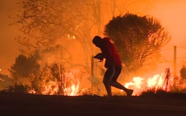 Homem salva coelho durante incêndio que atinge a Califórnia
