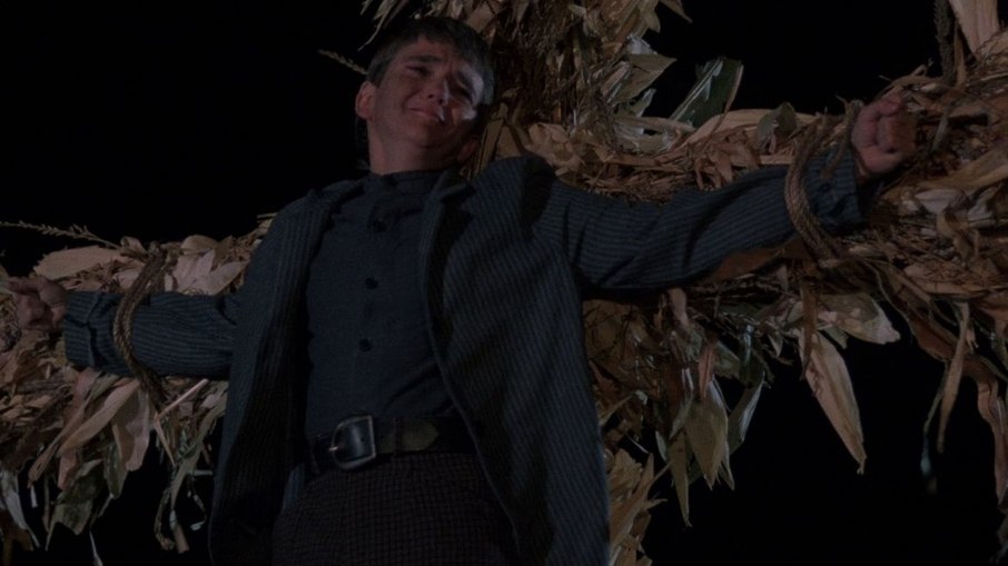 Colheita Maldita Colheita Maldita