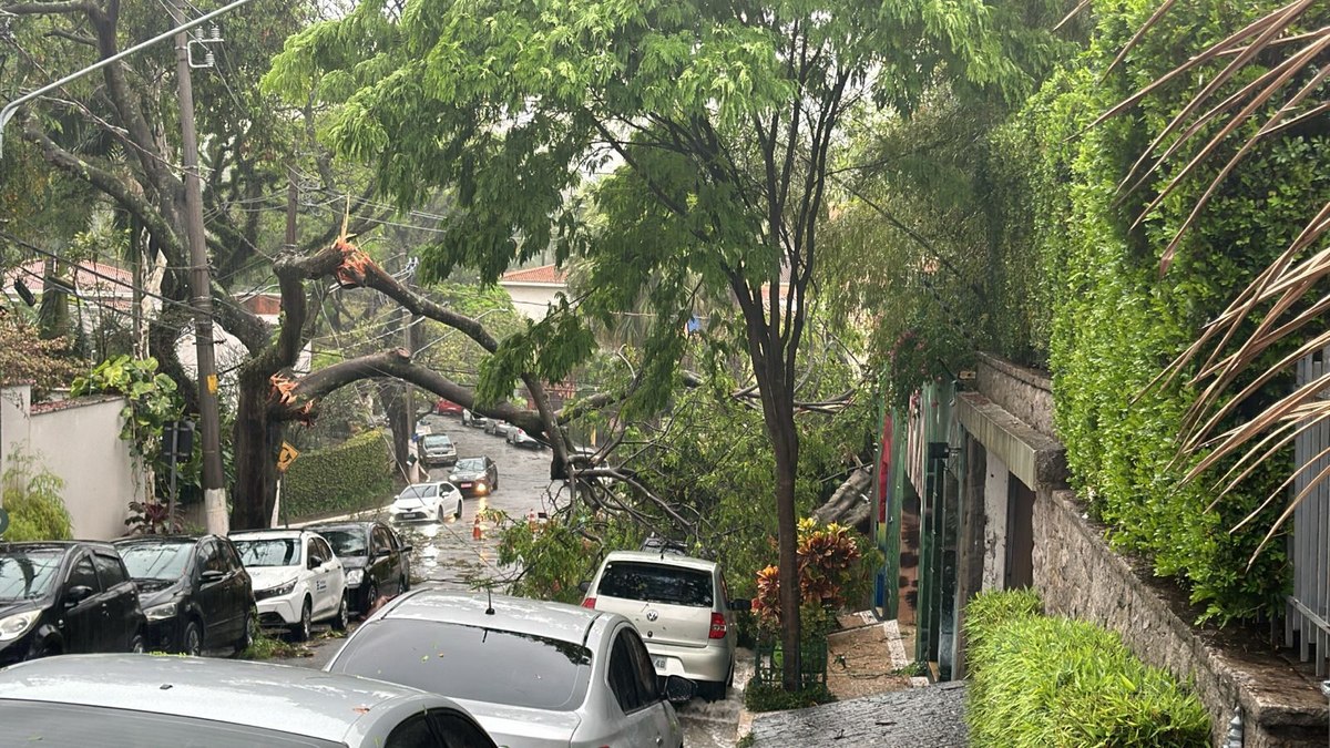 Árvore quebrada no Morumbi Árvore quebrada no Morumbi