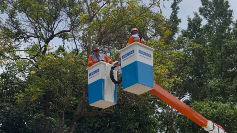 Profissionais da Comlurb simulam poda em árvore usando caminhão especializado.