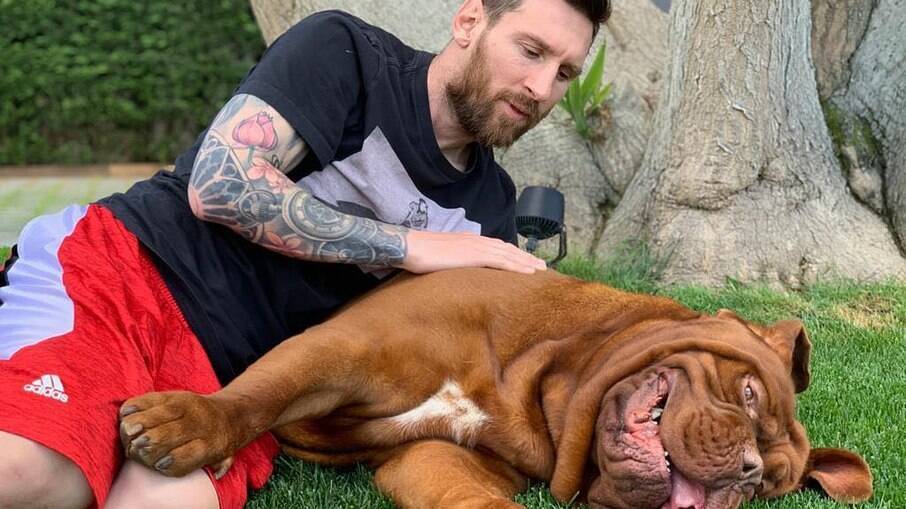 Com a ida de Messi para um novo clube, os fãs ficaram curiosos sobre o paradeiro de Hulk, o cachorro de estimação do atleta