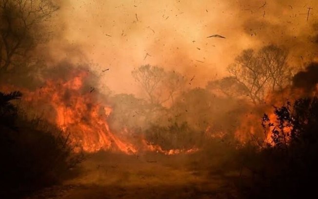 MS decreta estado de emergência em municípios atingidos por queimadas